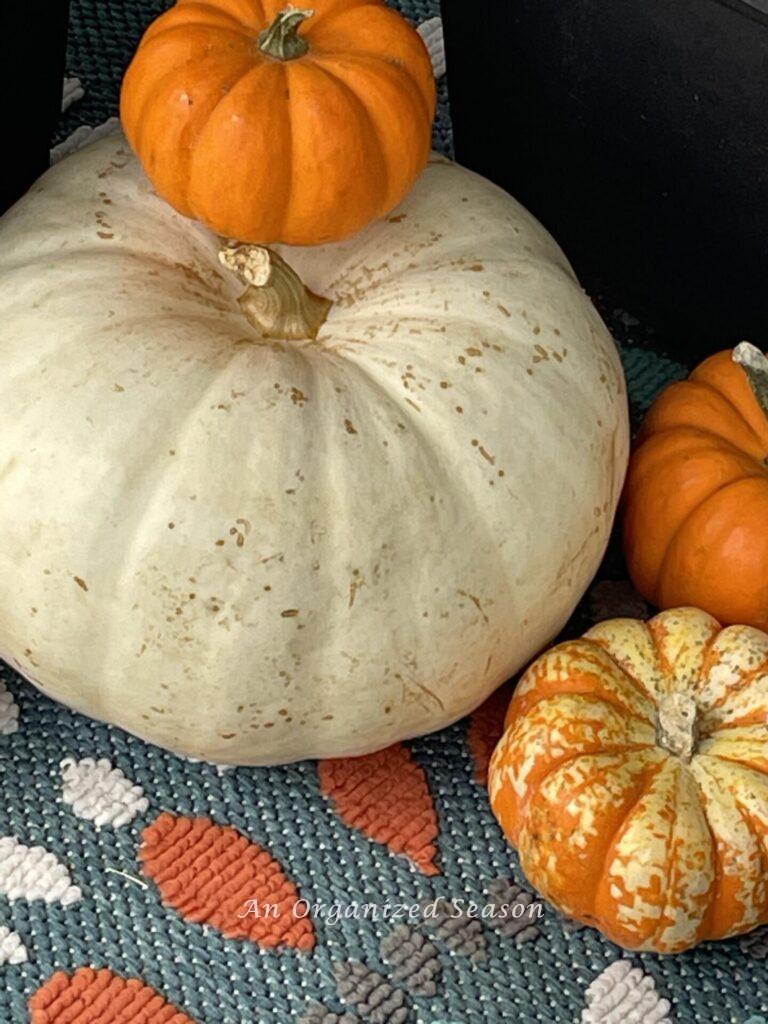 A group of four pumpkins makes perfect Fall porch decor! 