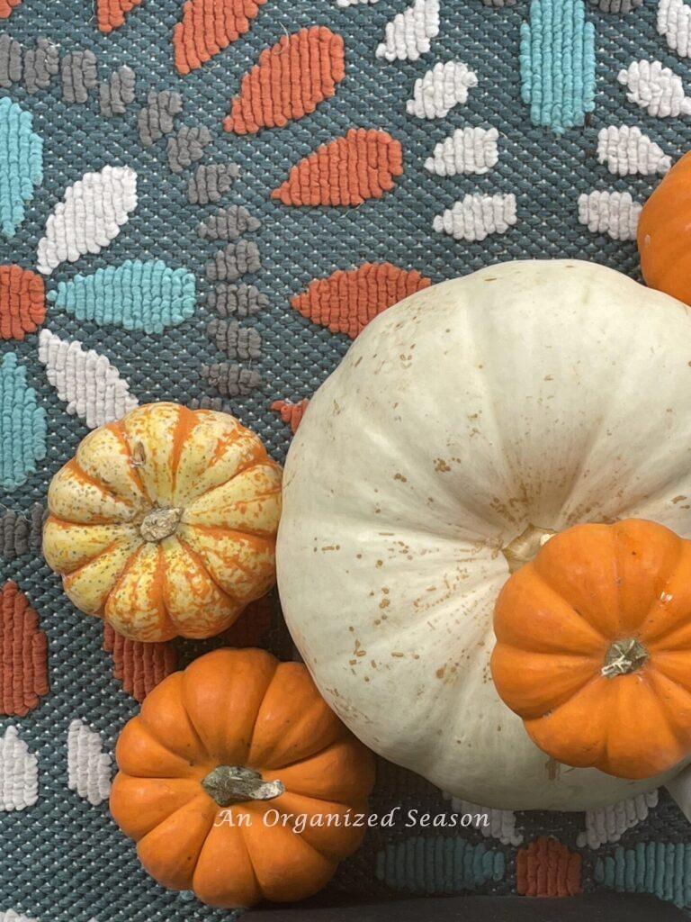 Fall porch decor with orange, white and teal rug and orange and white pumpkins.