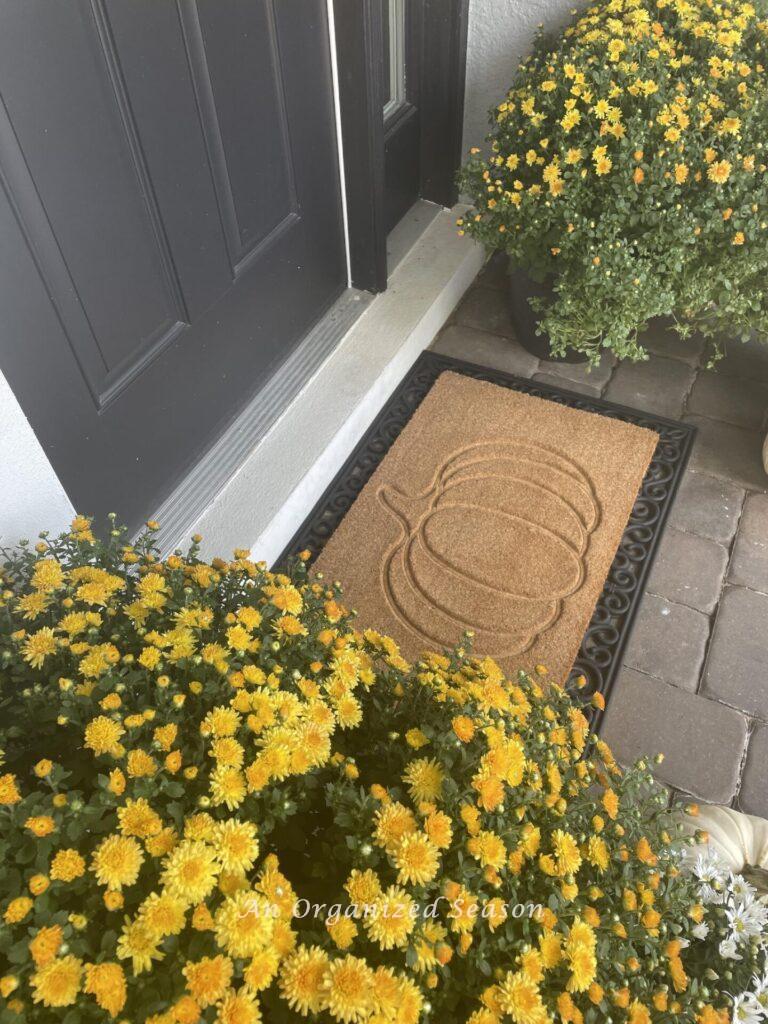 Mums on either side of a pumpkin doormat makes perfect Fall porch decor! 