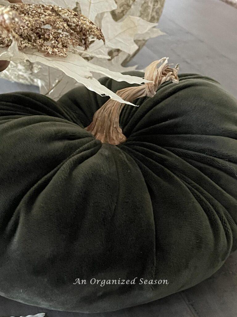 A large velvet pumpkin.