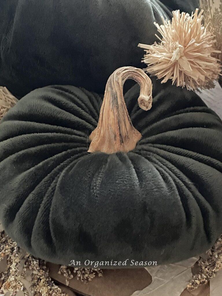 A small velvet pumpkin.