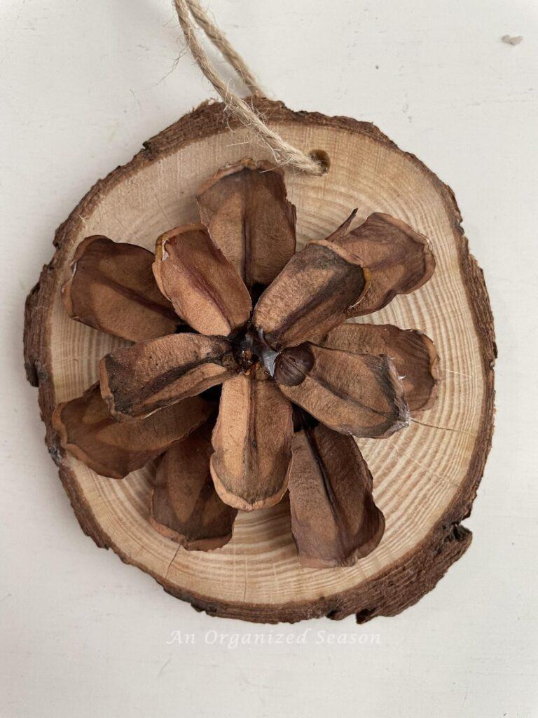 Glue 5 short pinecone pieces on the pinecone flower.