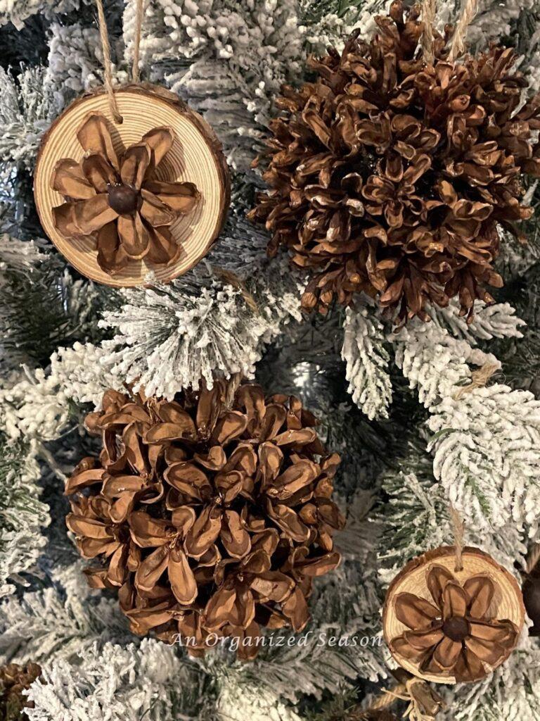 Pinecone and wood slice ornaments hanging on a tree. 
