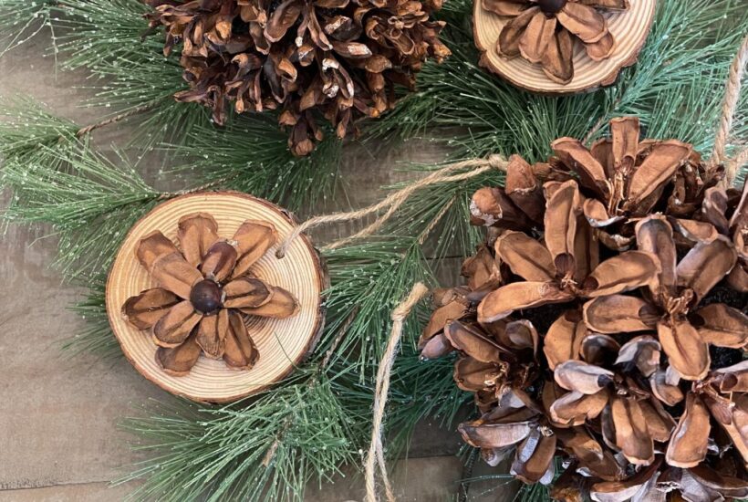 Pinecone and Wood Slice Christmas Ornaments laying on greenery