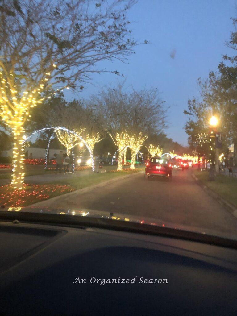 A car drive to see Christmas lights. 