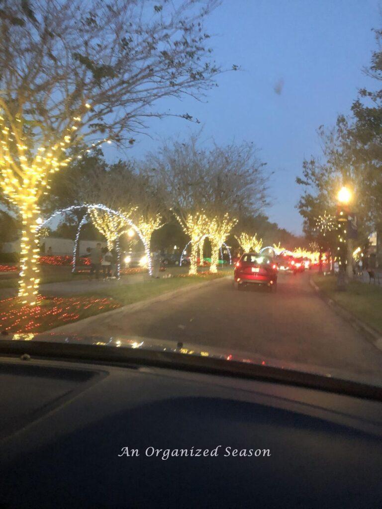 A car drive to see Christmas lights.