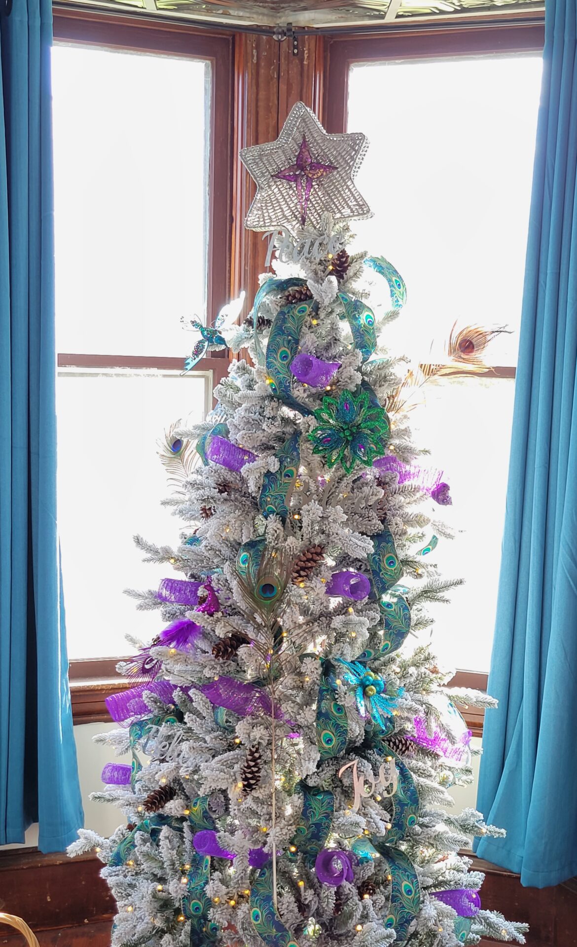 A Christmas tree decorated with peacock ornaments and ribbon. 