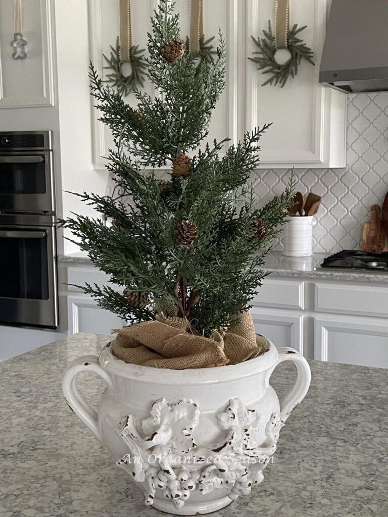 A small Christmas tree in a white vase. 
