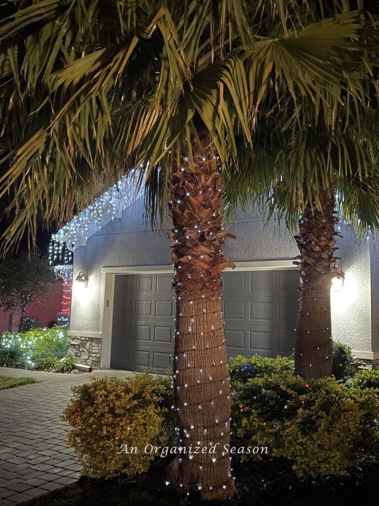 Palm trees and house decorated with Christmas lights.