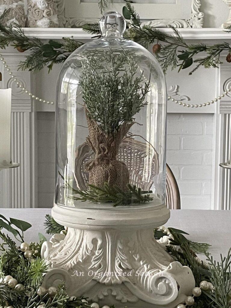 A miniature tree inside a cloche displayed on a white pedestal.