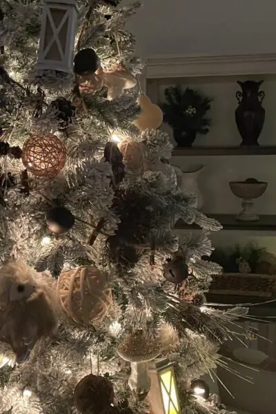 Lights on a Christmas tree at night