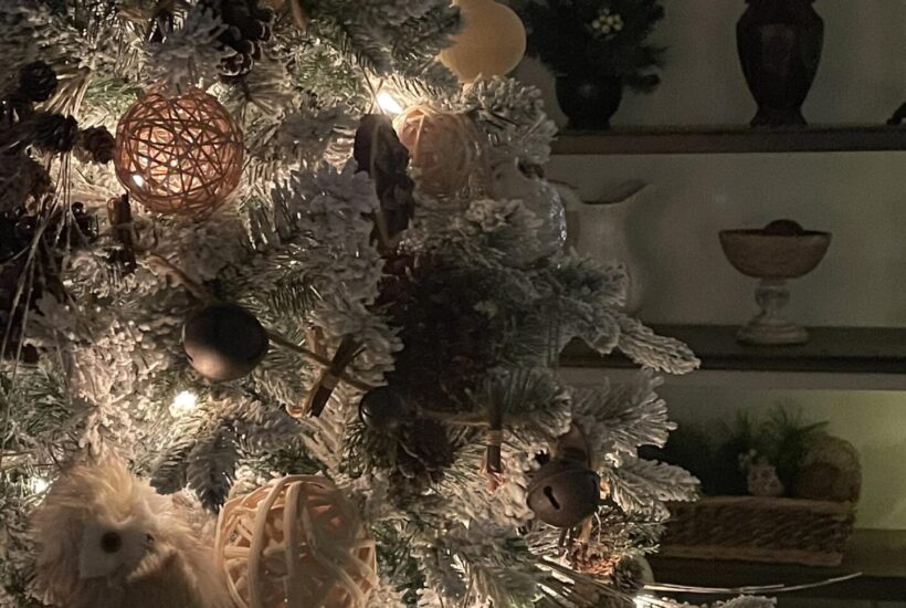 Lights on a Christmas tree at night