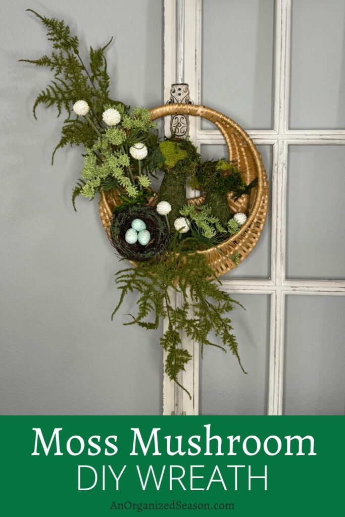 Hanging basket with moss mushrooms, ferns, green Queen Anne's lace, and a bird's nest.