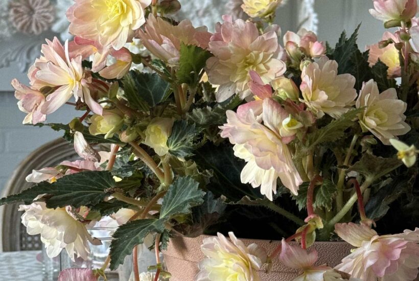 Floral Centerpiece