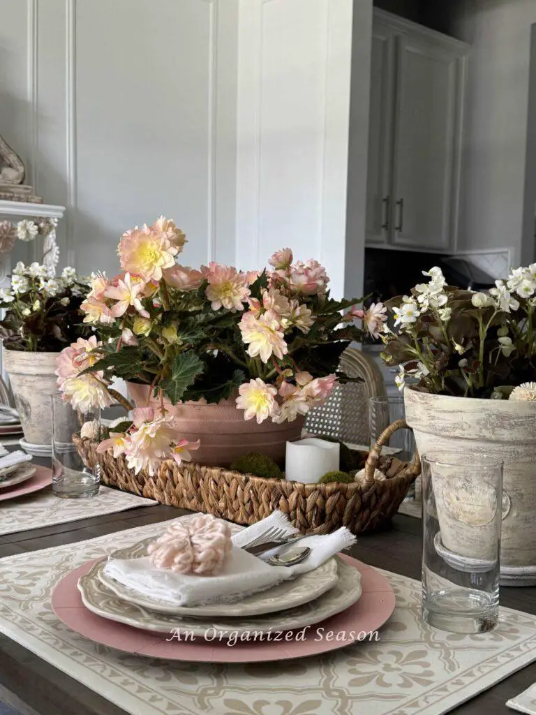 Mother's Day table decor idea one is to use annual flowers in pots for a centerpiece. 