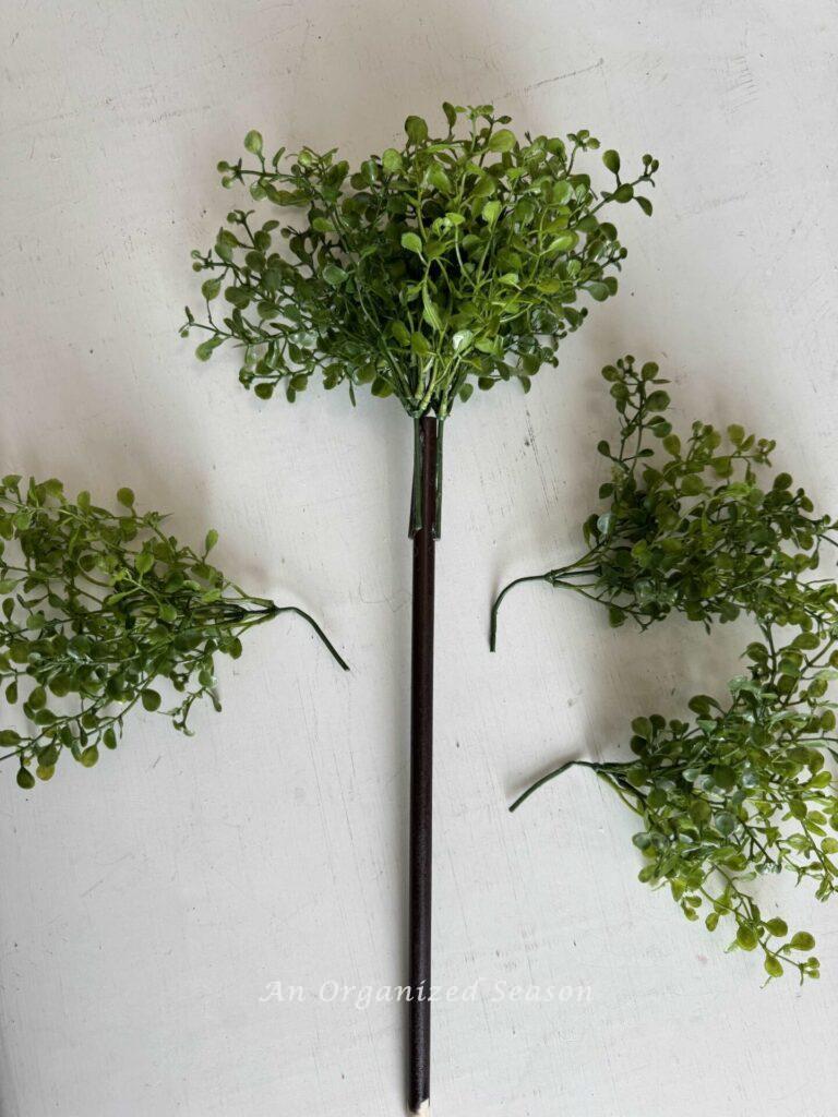 Three greenery stems glued to a dowel rod.  