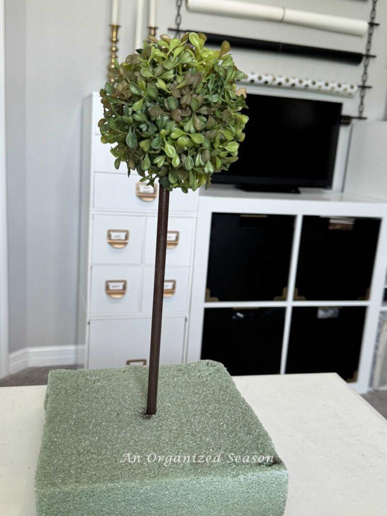 A boxwood orb on a brown dowel rod. 