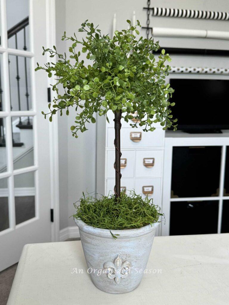 A DIY topiary in a blue flower pot. 