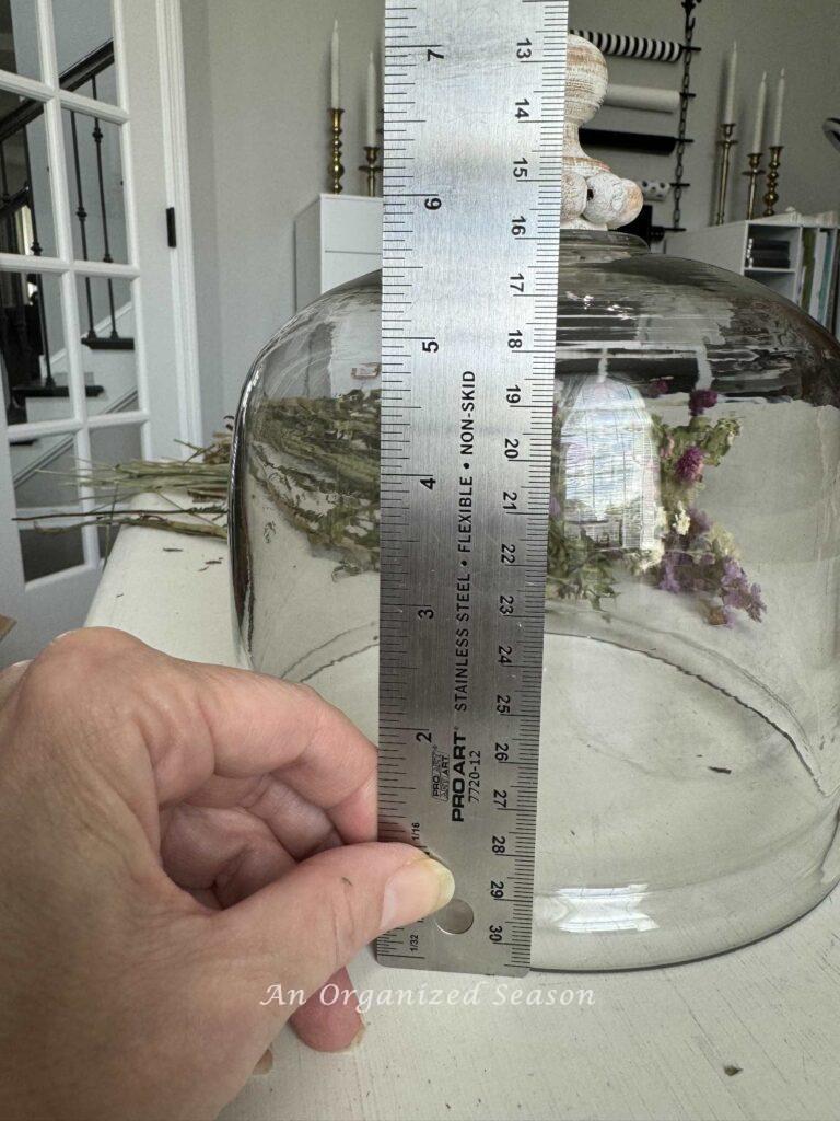 Step three to make a dried flower arrangement is to measure the height of the glass cloche. with a ruler.