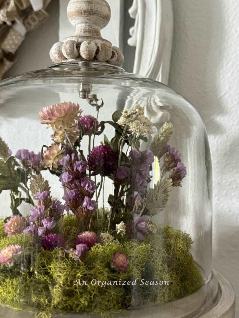 Upclose picture of flowers inside a cloche. 