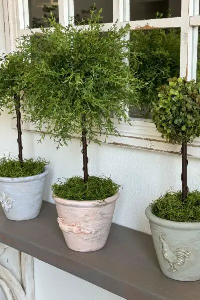 Three faux topiary trees on a shelf.
