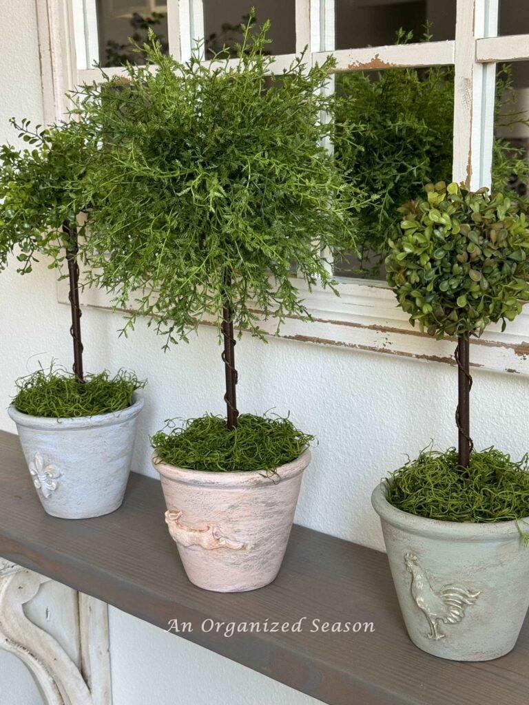 A DIY topiary set. 