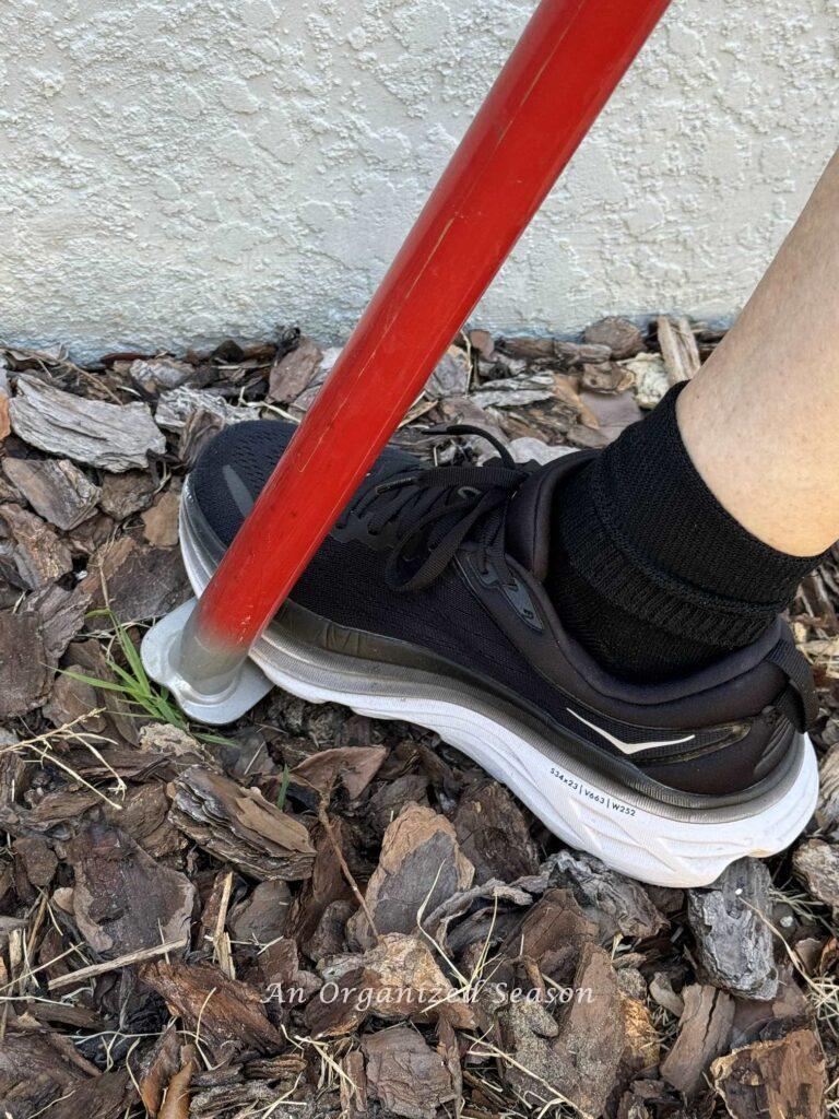 A person doing DIY lawn care by using a stand up weed puller to remove a weed. 