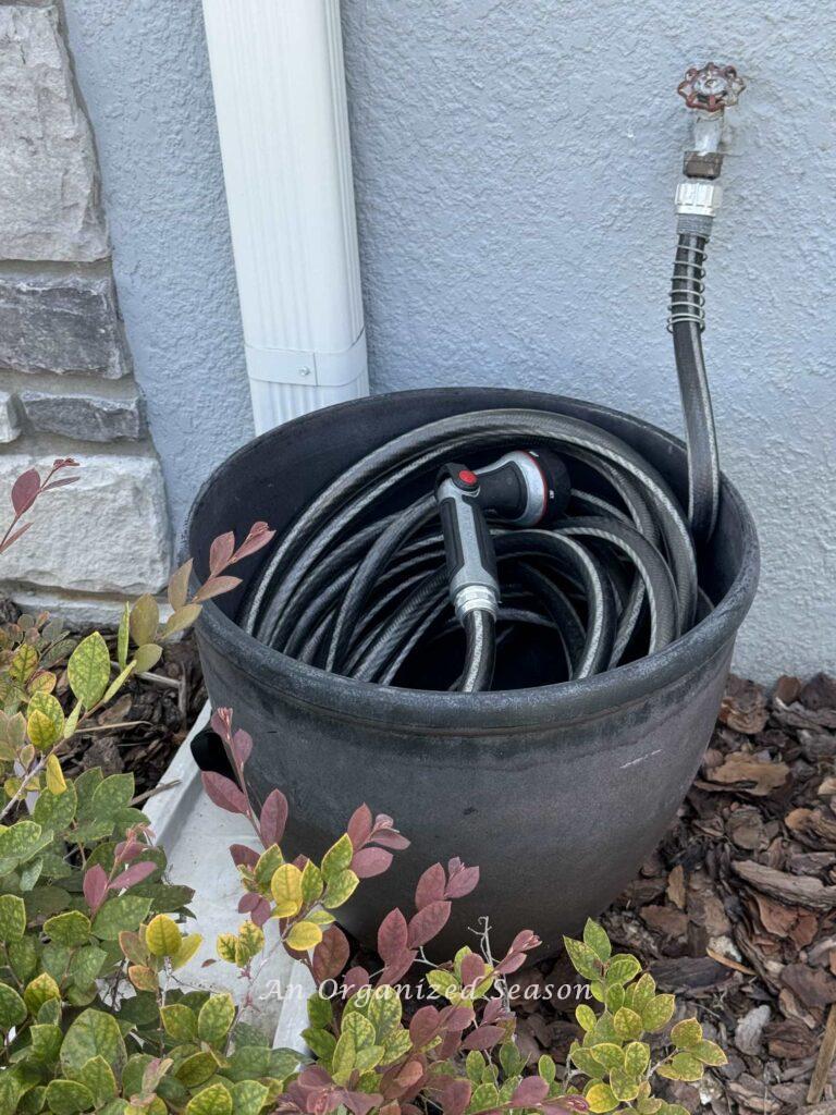 A hose being stored inside a planter. 