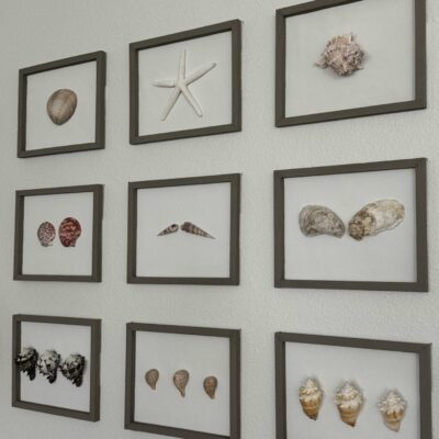 How to Create Beautiful DIY Seashell Wall Decor