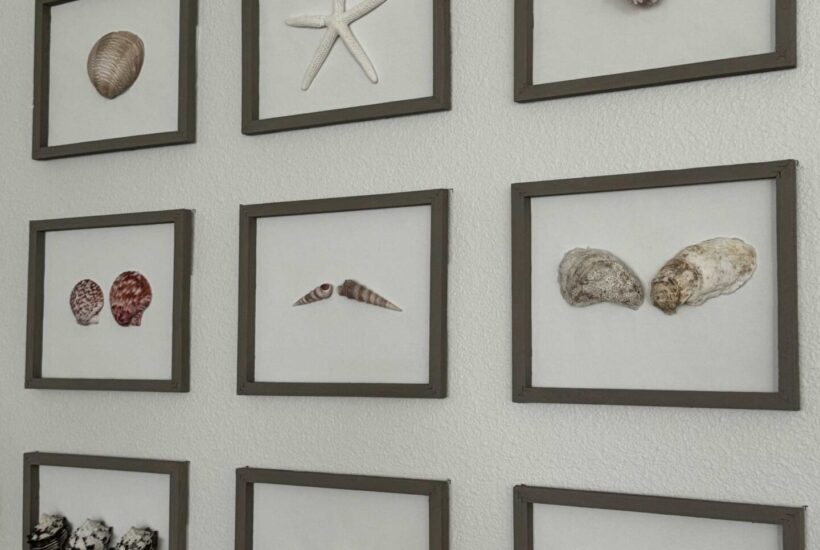 Gallery wall of DIY seashell art
