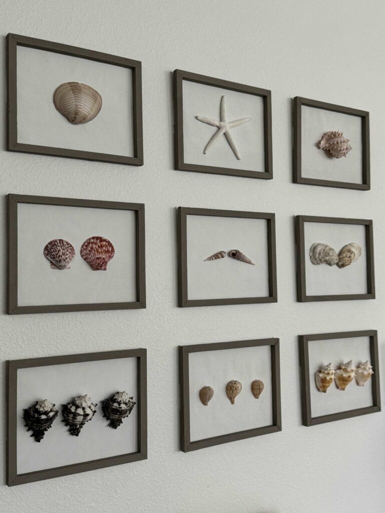 A seashell gallery wall is perfect for summer home decor! 