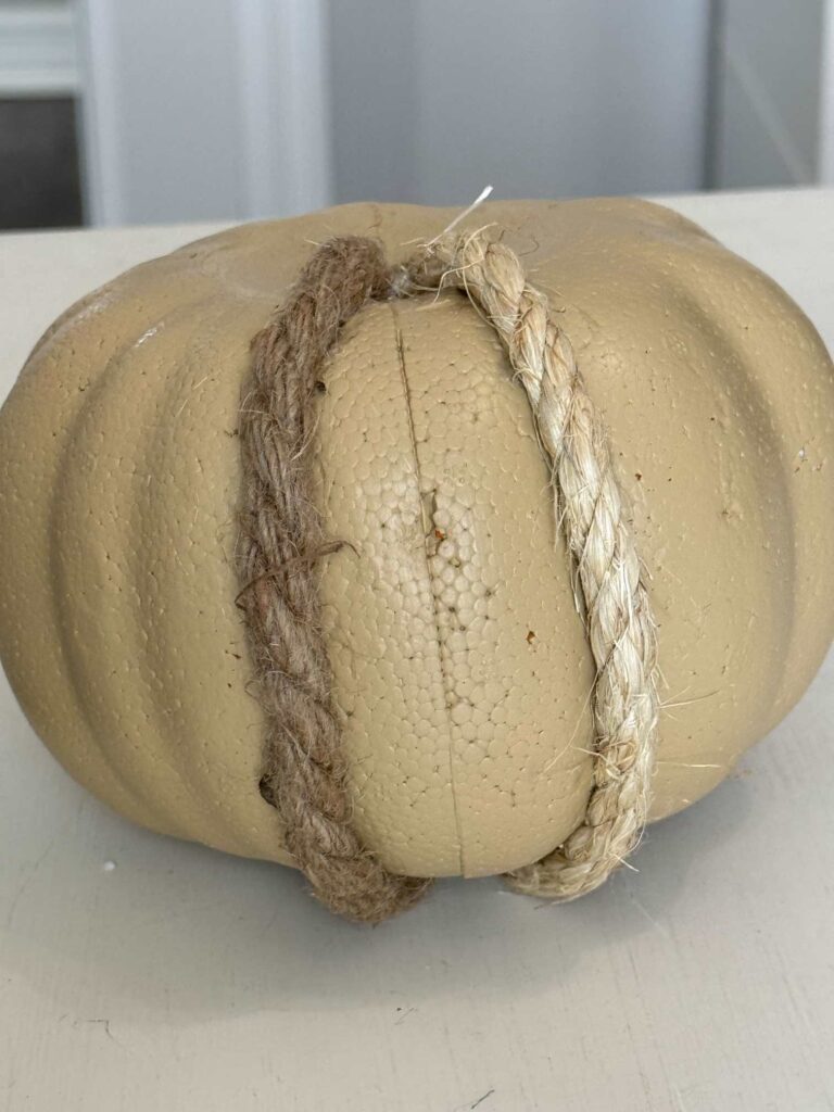 A pumpkin with two ropes glued to it. 