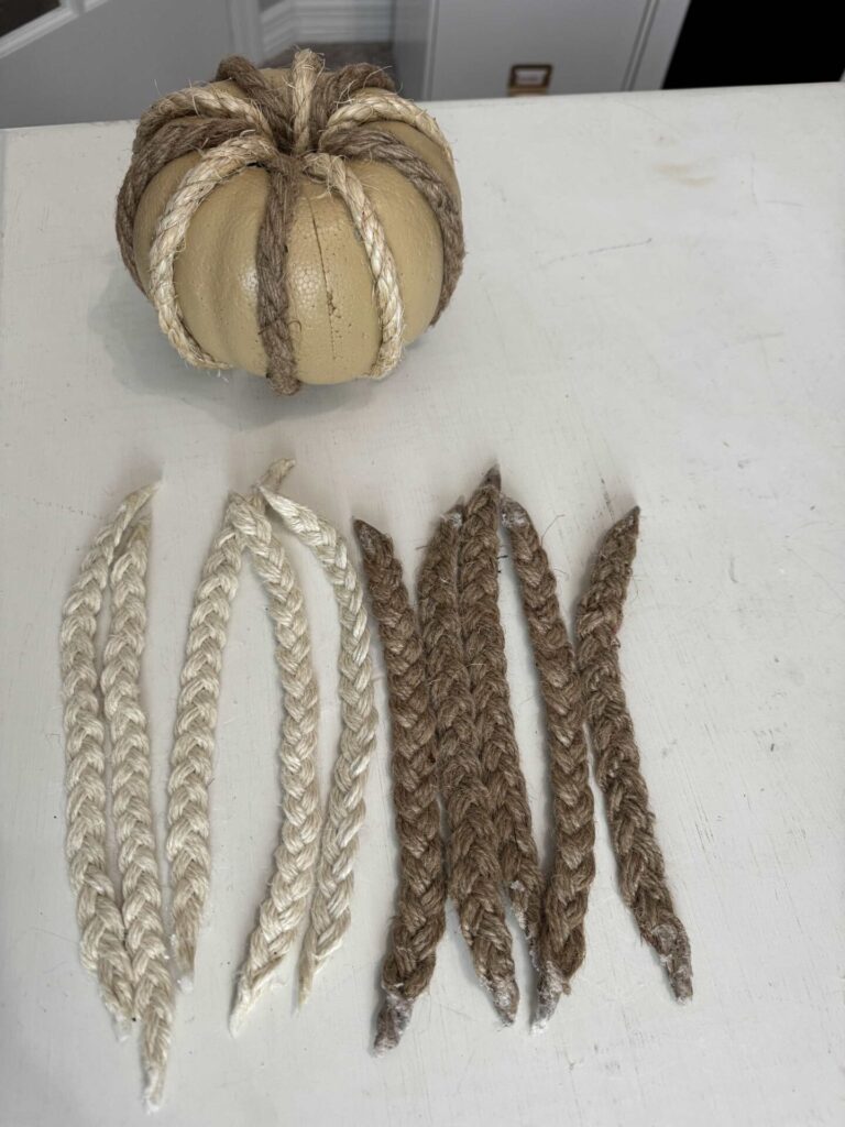 A pumpkin next to 10 braided strips of twine. 