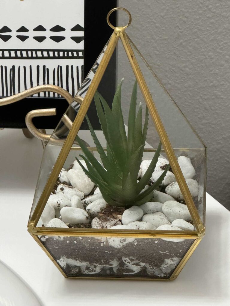 A succulent in a gold and glass vase. 