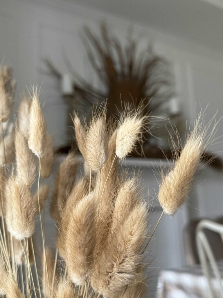 Up close picture of bunny tail florals. 