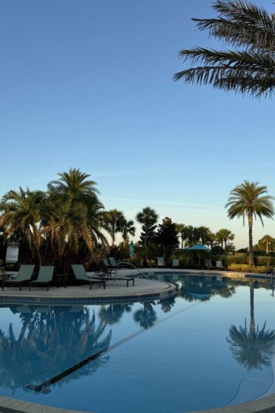 Swimming pool surrounded by palm trees.