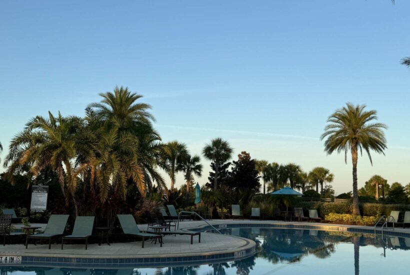 Swimming pool surrounded by palm trees.