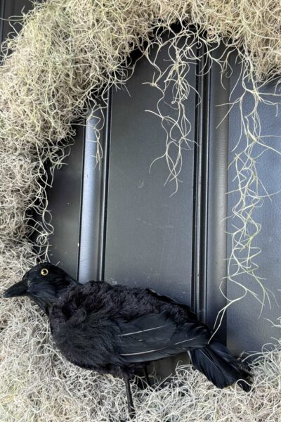 A moss wreath with a black crow.