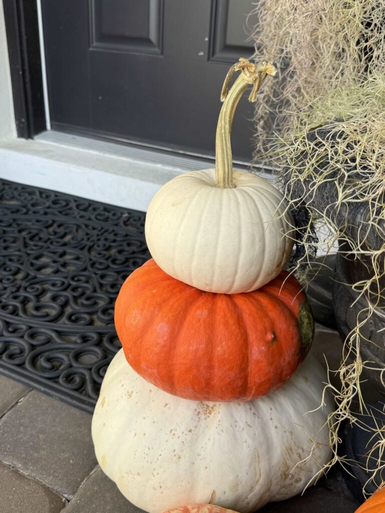 An orange and white pumpkin stack. 