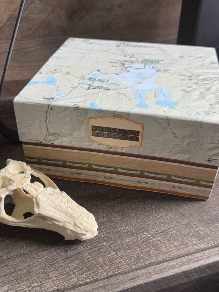 A DIY memory box next to a skull.