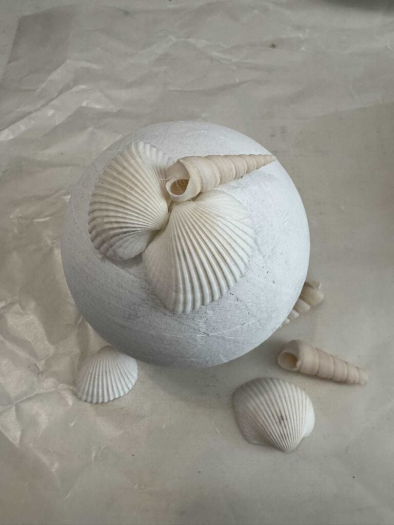 DIY Seashell Ball: A Beautiful Coastal Accent for Your Home - An Organized  Season, image size:768x1024