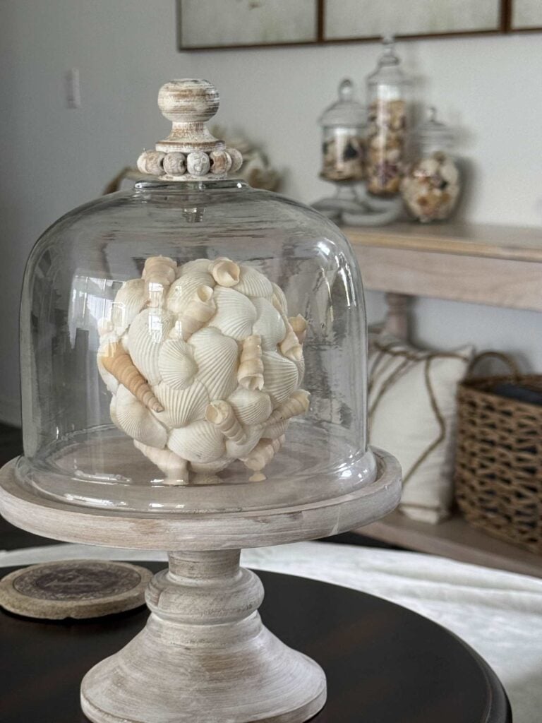 DIY seashell ball displayed in an elevated glass cloche. 
