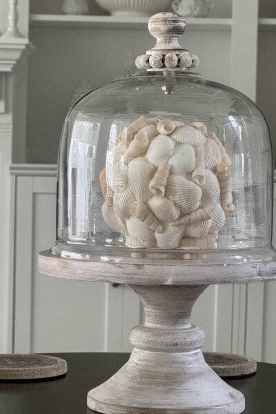 DIY seashell ball under a cloche.