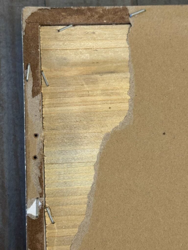 A picture with the paper torn away from the back. 