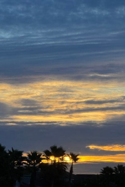 A sunrise with orange and blue skies with palm trees.
