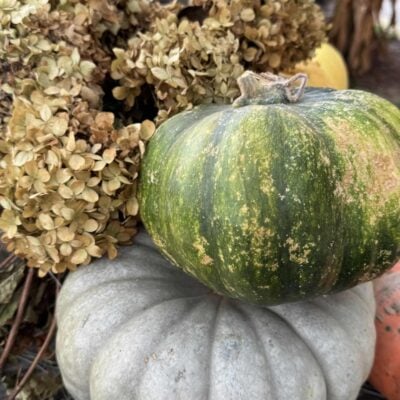 Seasonal Sentiments October 2025 Rewind