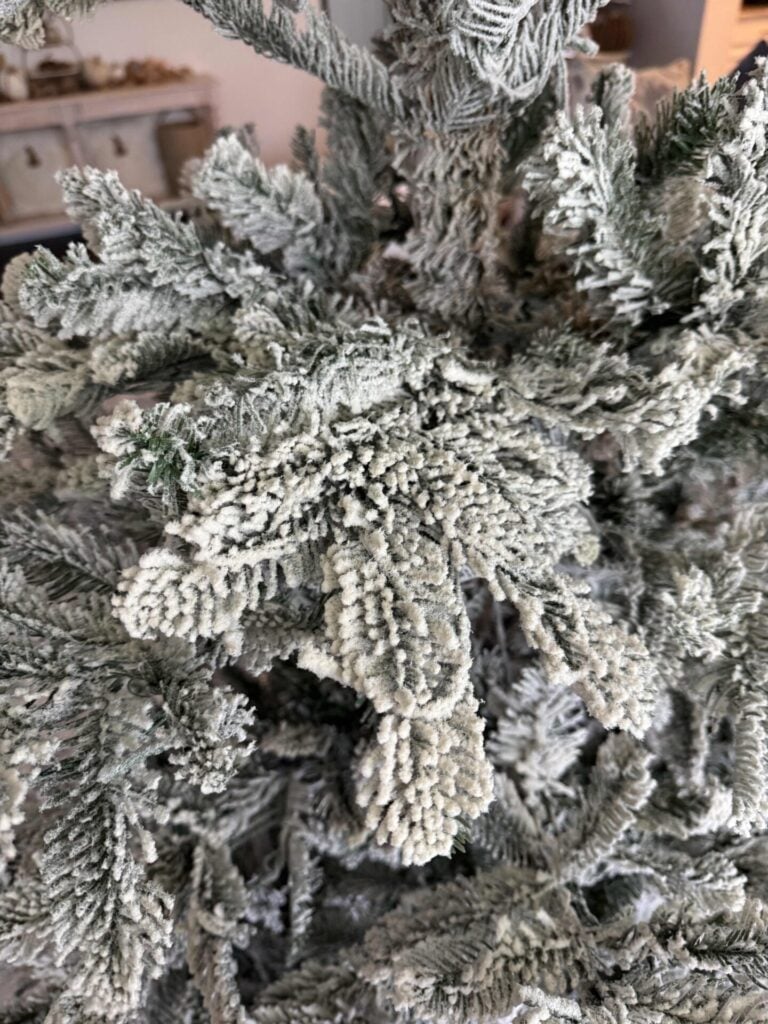 A flat branch of a flocked King of Christmas tree that needs to be fluffed.