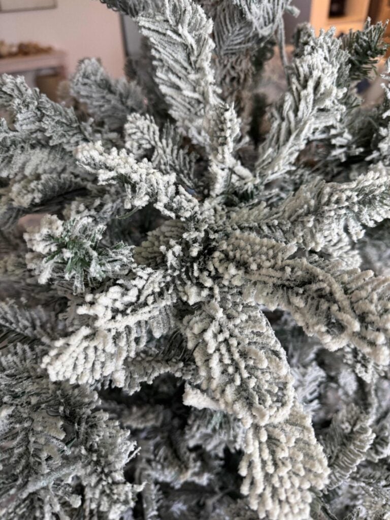 A King of Christmas tree branch that has been fluffed.