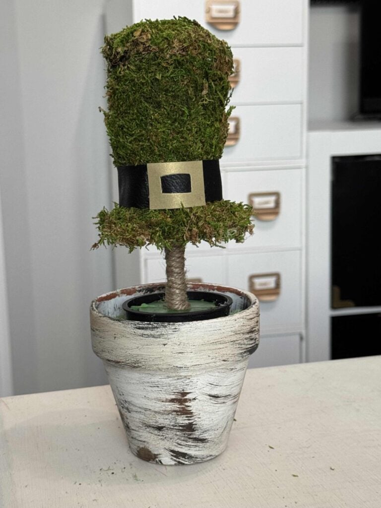 A Dollar Tree leprechaun top hat with moss covering the hat and a black hat band with a gold buckle made from cardstock and the stick wrapped with twine.