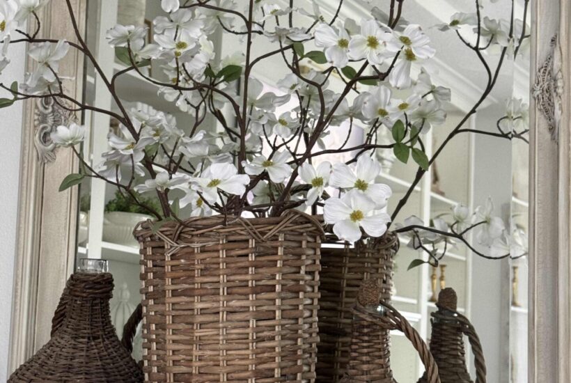 Long basket sitting in front of decorative mirror, holding dogwood branches with a demijohn sitting on either side.